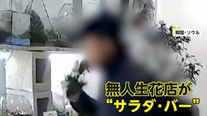 無人生花店で男が草花やコケをムシャムシャ…花瓶の水も飲み干す　3時間で店内は無残な姿に　韓国・ソウル