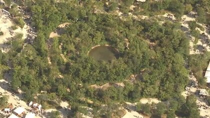 万博「静けさの森」水たまりから基準値約20倍のレジオネラ属菌　感染すると肺炎発症も　「ウォータープラザ」でも検出し「水上ショー」中止