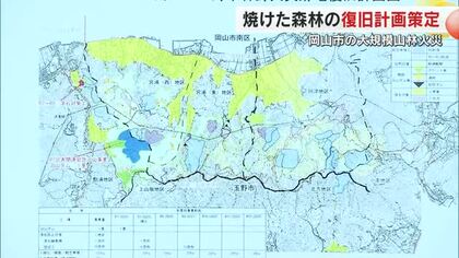 岡山県が岡山市南区で発生の大規模山林火災からの復旧計画を策定　総事業費見込みは約１６億円【岡山】