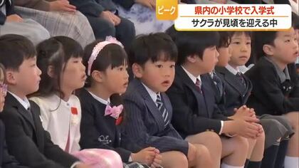 満開のサクラのもと県内116の小学校で入学式　6282人の新入生が新たな一歩　山形
