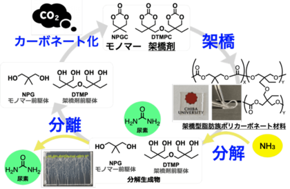 CO2から生まれ、肥料と原料へ還るプラスチックシステム～炭素と窒素を循環利用する新しい高分子資源循環系を実証～