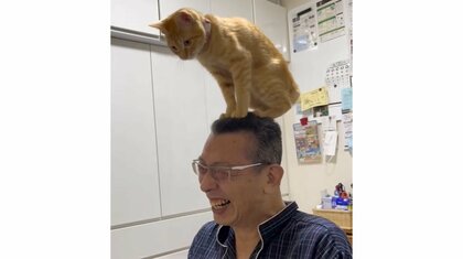 「てっぺん取ったど～」お父さんの頭によじ登った子猫に爆笑…痛そうだけどずっと笑顔？当時の様子を飼い主に聞いた