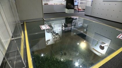 27日早朝に北海道で震度5強、「後発地震注意情報」に該当せず　「特別な呼びかけ」は午後5時に終了