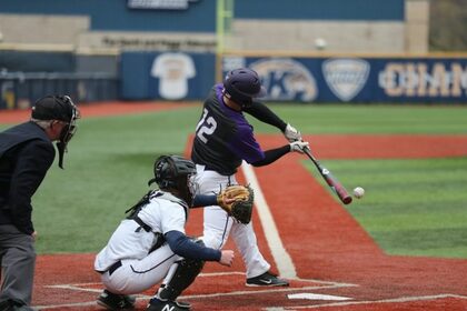観客動員は過去最高の国民的スポーツ！プロ野球について大調査！！【1000人アンケート】