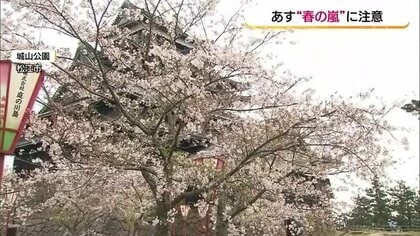 「春の嵐」で“花散らし”に…10日に日本海に発達した低気圧　落雷や竜巻など激しい突風、大雨の恐れ
