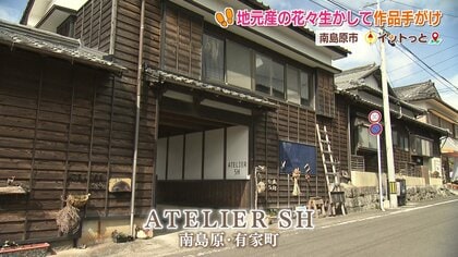 地元で育てられた花をかわいいままで残したい」南島原を盛り上げる流木
