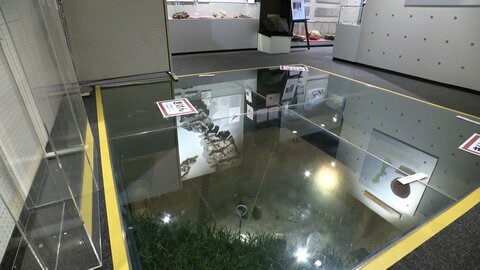 27日早朝に北海道で震度5強、「後発地震注意情報」に該当せず　「特別な呼びかけ」は午後5時に終了