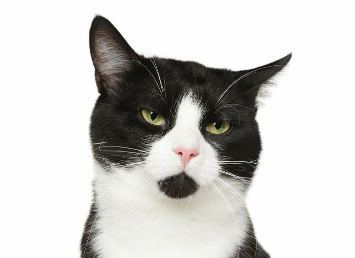 「あごひげ」（画像はイメージ）