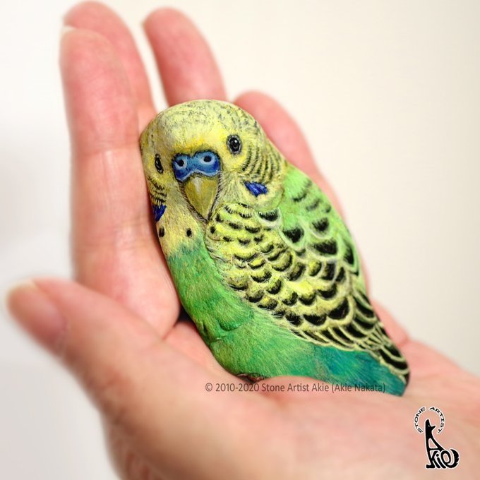 インコ