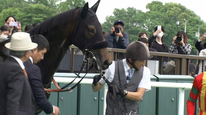 兄はGⅠ3勝エフフォーリアのジョスラン