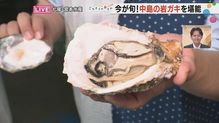 むきたての岩ガキ