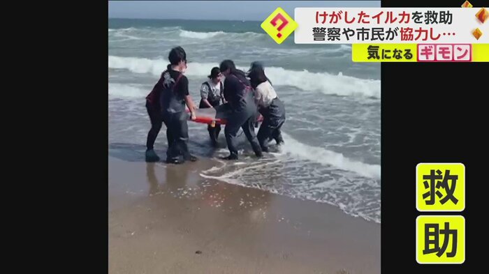 (FNN投稿サイト「ビデオPost」)