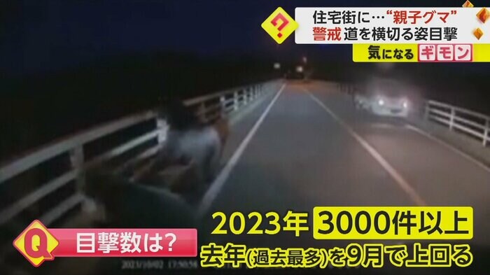 (視聴者撮影)