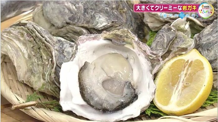 島根県・隠岐の島で捕れた岩ガキ