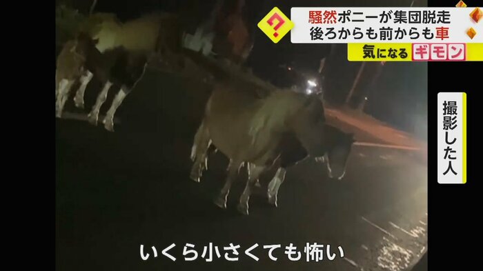 (FNN投稿サイト「ビデオPost」)