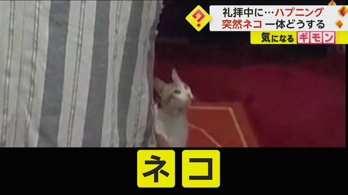 （The Official Page Of Sheikh Walid Mehsas）