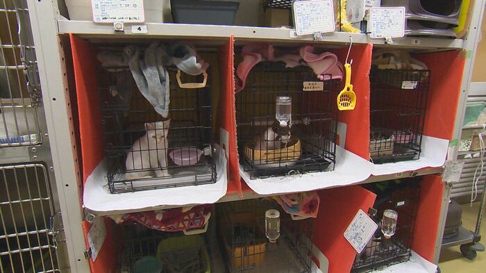 新潟市動物愛護センター