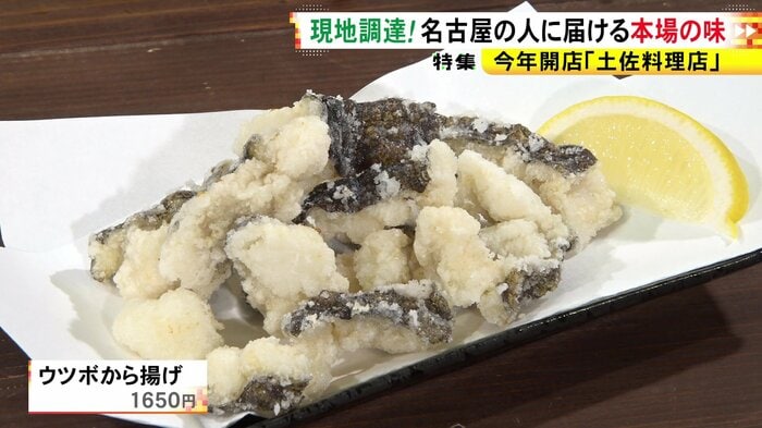 ニュースONE