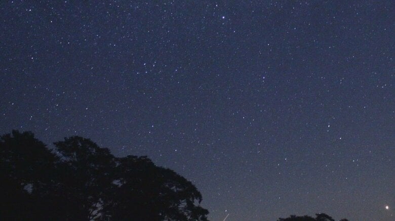“シニアの枠を超える”旅も… 2025年旅行トレンド9つをブッキングドットコムが予測「宇宙を体感するナイトツーリズム」等｜FNNプライムオンライン