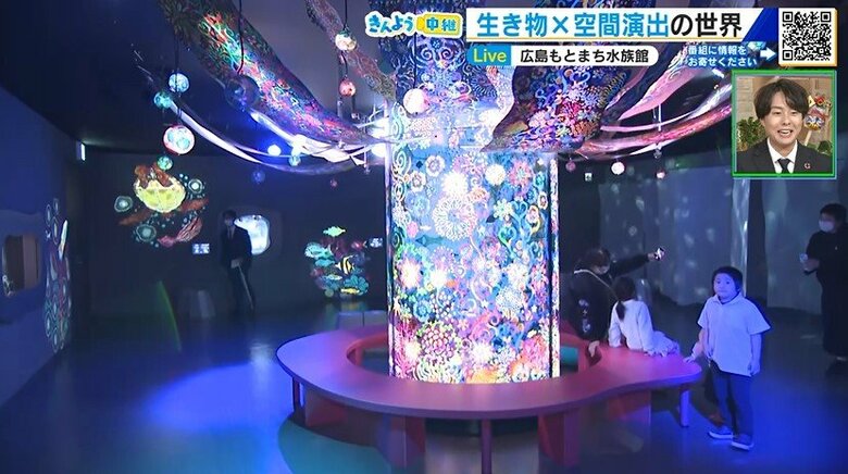 【中継】“街なか”で楽しむ『広島もとまち水族館』 海の生き物とアートがコラボ 幻想的な世界に感動|FNNプライムオンライン