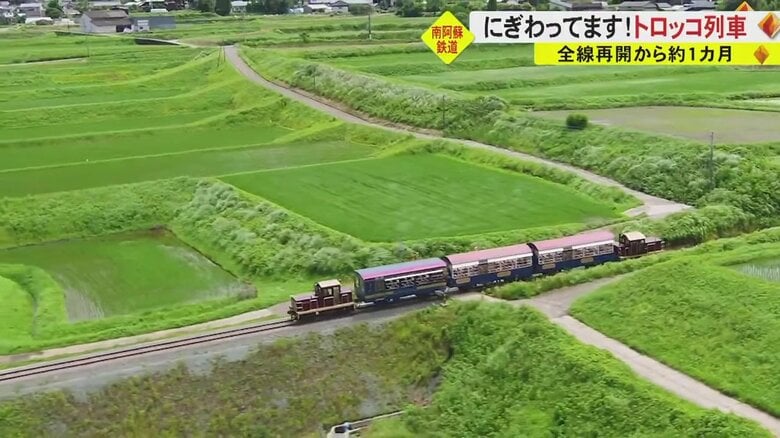 南郷谷や高さ60メートルからの絶景…絶品かき氷も　夏休みの思い出に南阿蘇鉄道・トロッコ列車の旅はいかが？｜FNNプライムオンライン