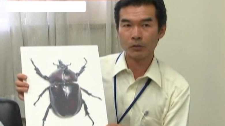 倉敷市立自然史博物館・奥島雄一学芸員