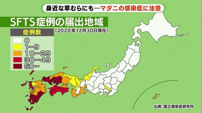 静岡では今年3月に初めて感染が確認された