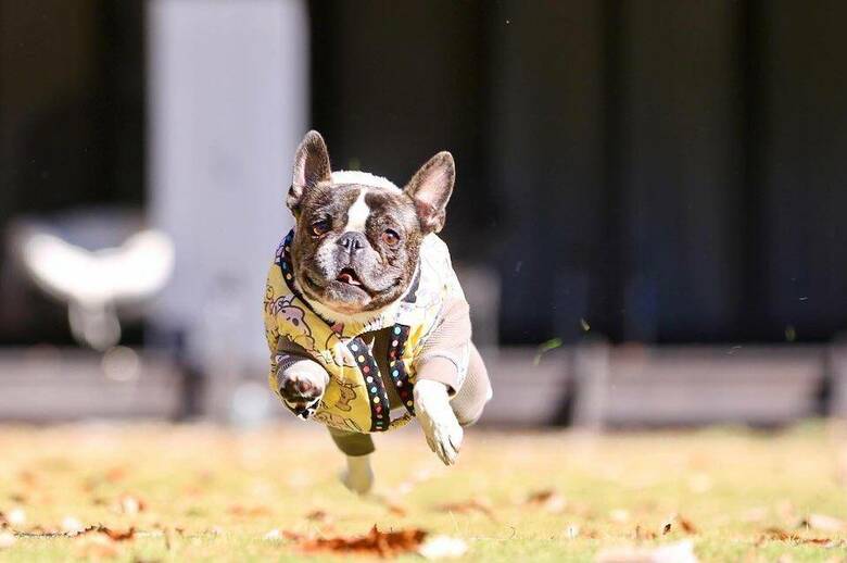 提供：丸男さん