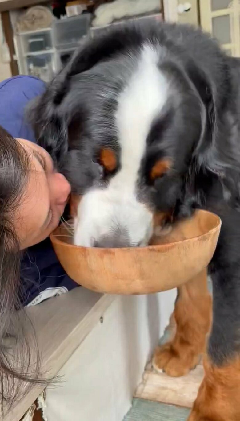 ごはんを食べる八兵衛くんの横にはパパさんの顔が…