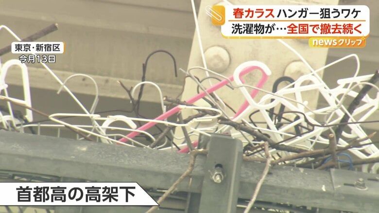 （13日、東京・新宿区）