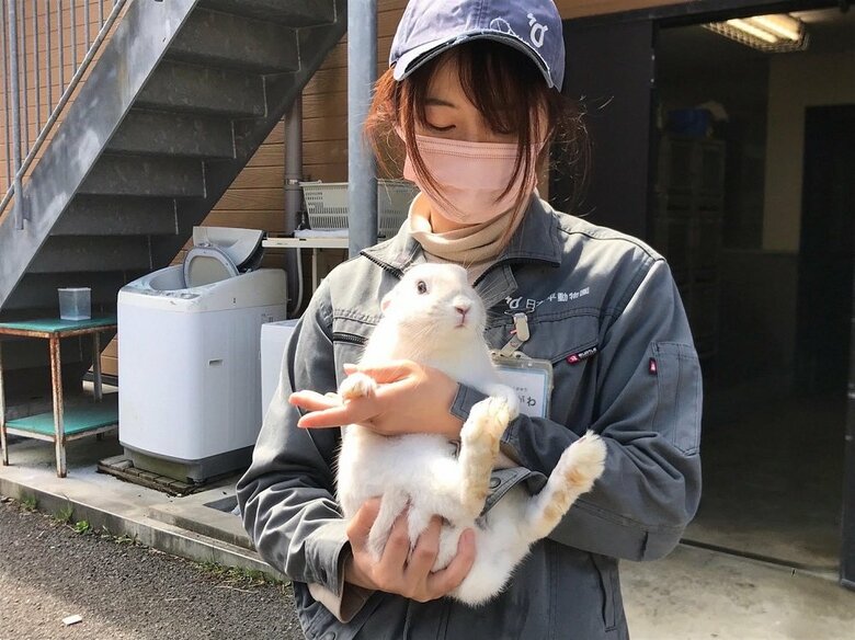 肉球がないウサギの足の裏