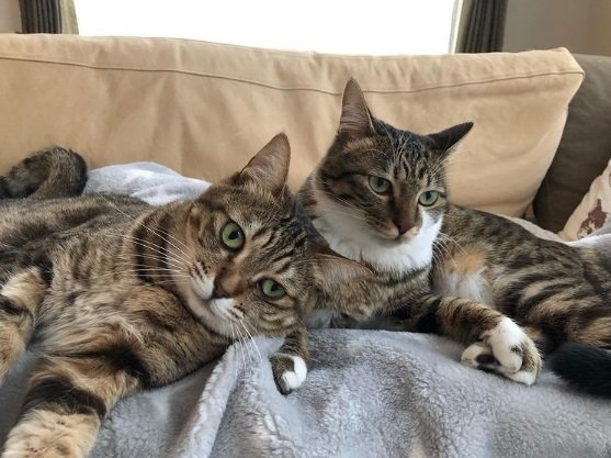 こちらはキキちゃんと「はる」ちゃん