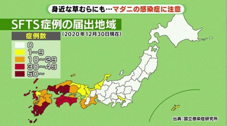 静岡では今年３月に初めて感染が確認された