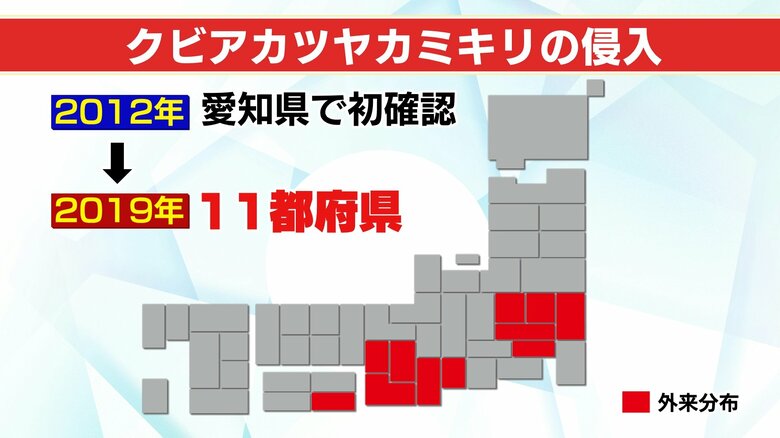 2019年までに11都府県で確認