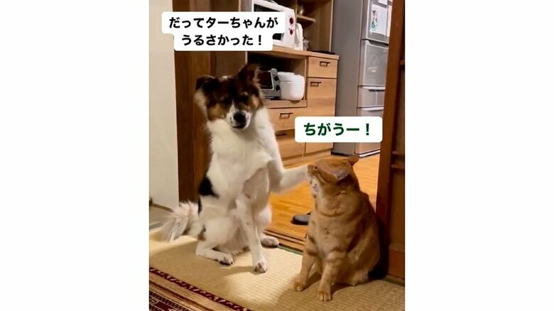 「だってターちゃんがうるさかった！」「ちがうー！」