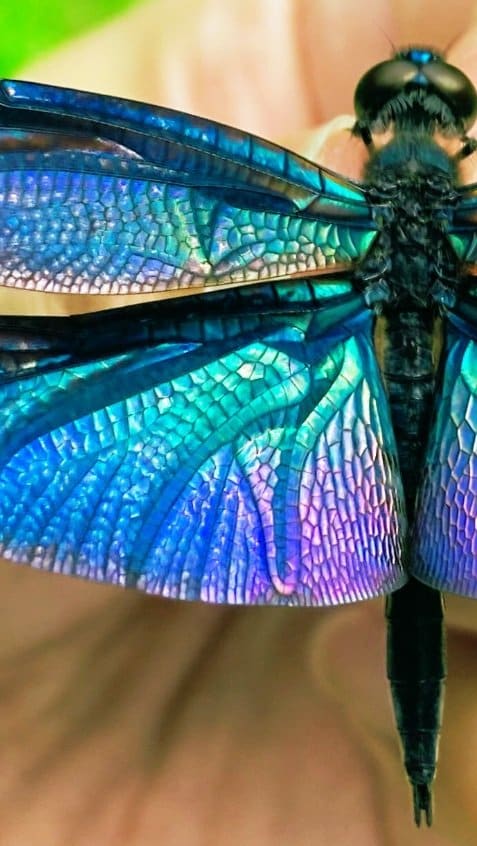 （画像：@yamazaki_designさん）