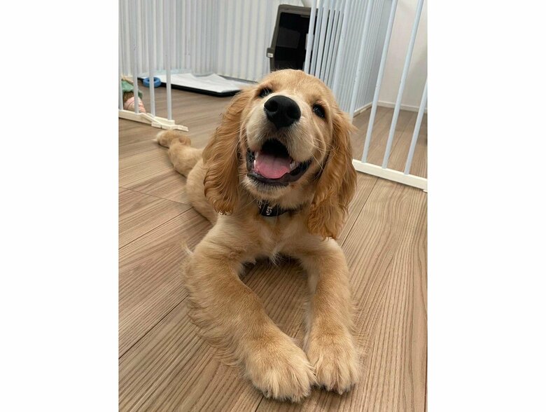 ククナちゃん（提供：関口和也さん）