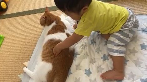 提供：Hassakuさん