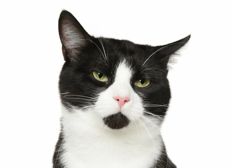 「あごひげ」（画像はイメージ）