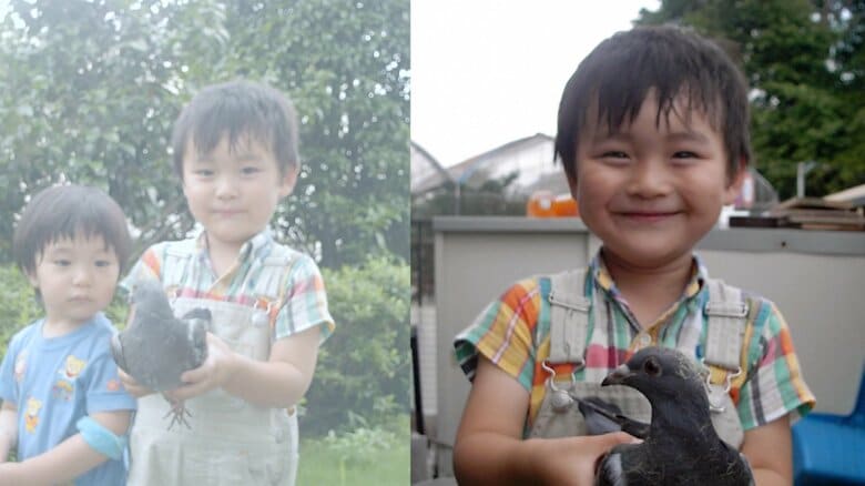 幼少期からハトに囲まれて育った中嶌さん