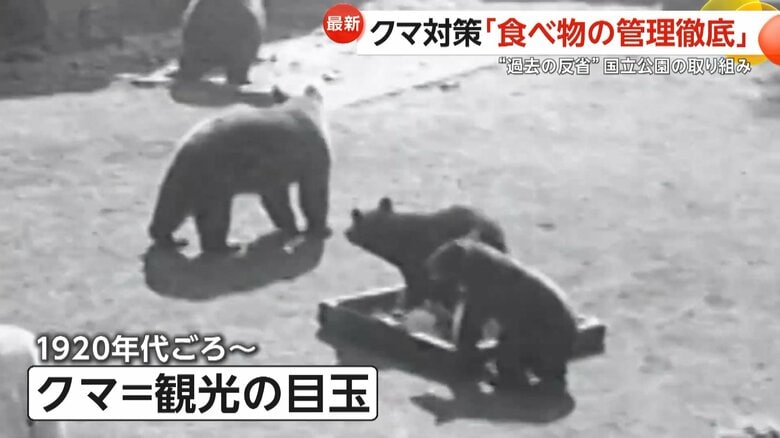 1920年代頃からクマを観光の目玉としてきたヨセミテ