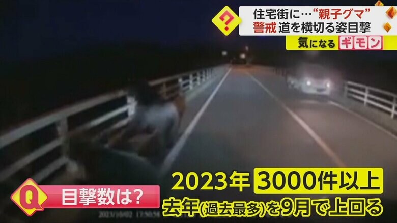 （視聴者撮影）