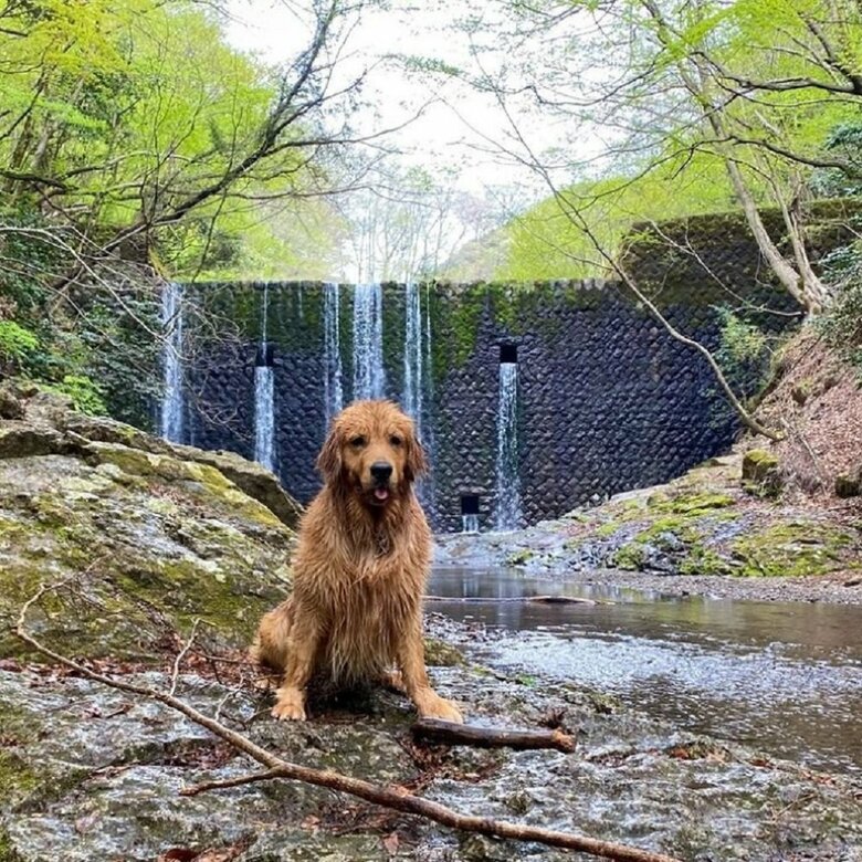5〜10月頃は行ける限り川に行くのだそう