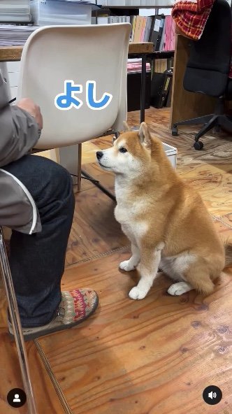 提供：エイトデザイン