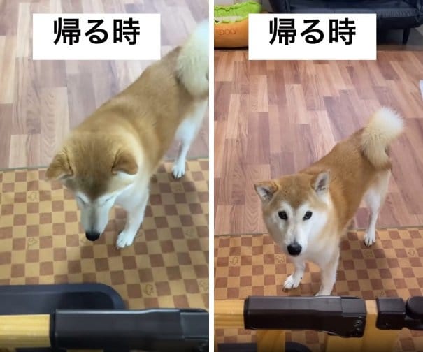 「……」