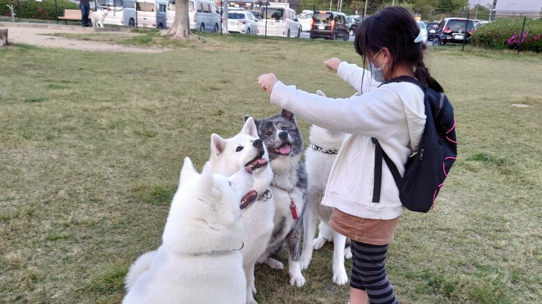 次女さんはよくおやつをあげているという