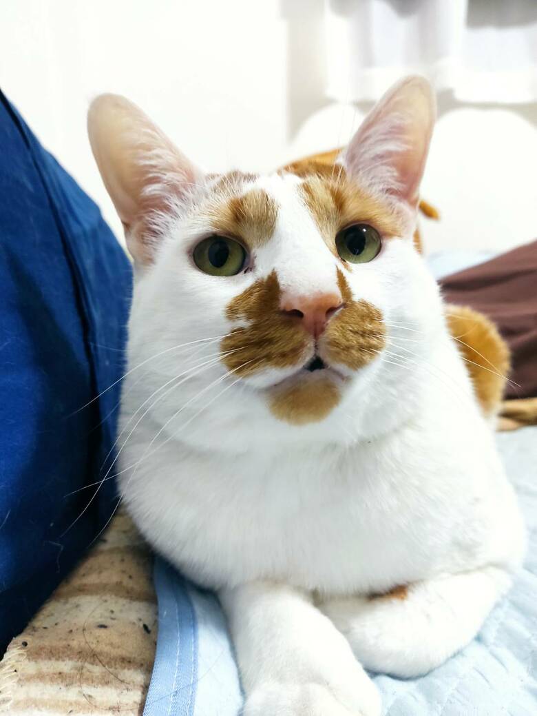 旦那さんに見せる表情（提供：tknさん）