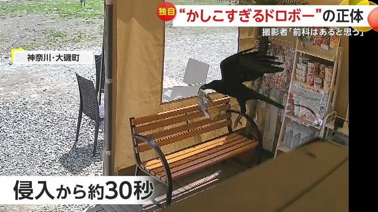 ポテトチップスの袋をくわえて飛び去るカラス（提供：Lotus Camp Viliage）