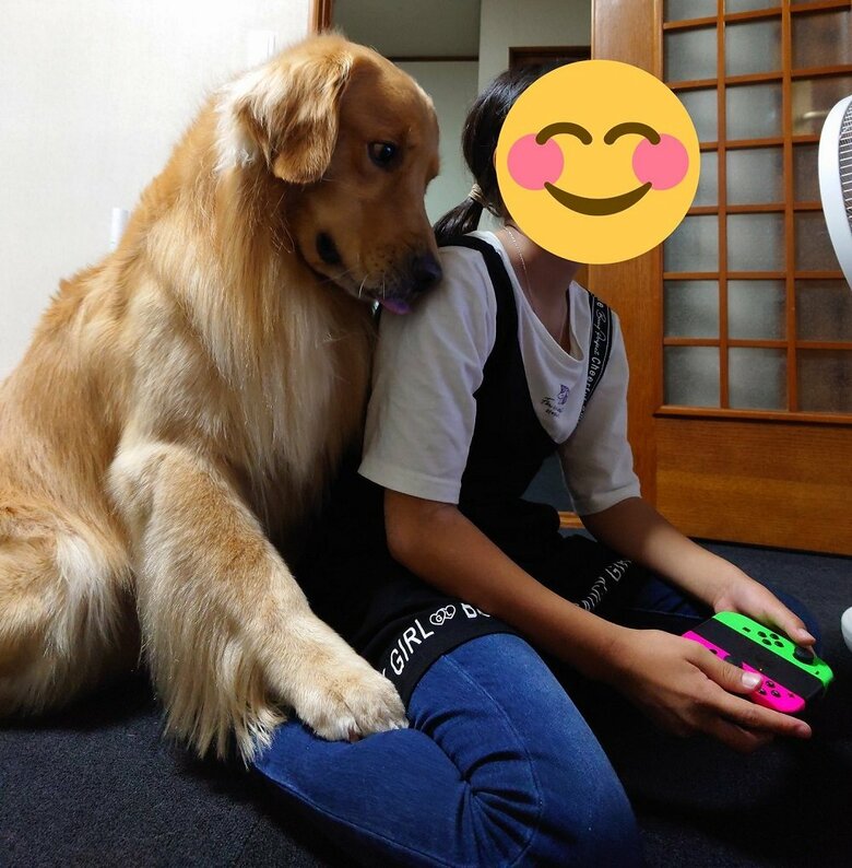 姪っ子さんが大好きなREYくん