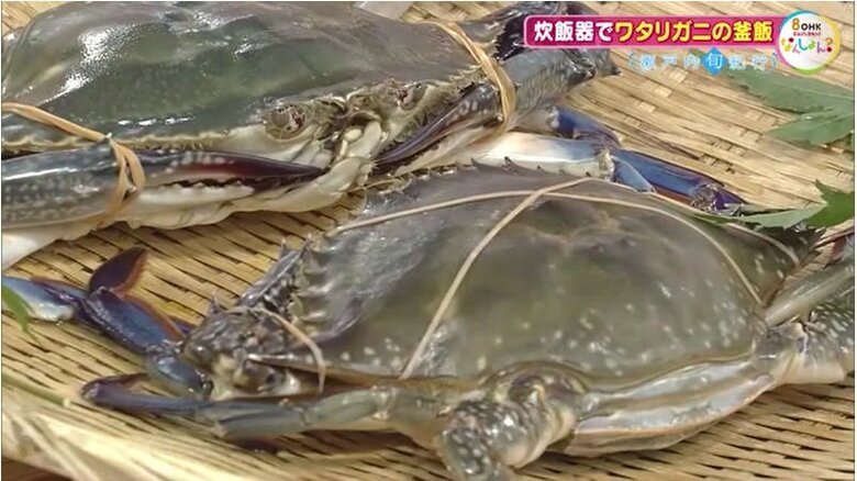 ワタリガニ